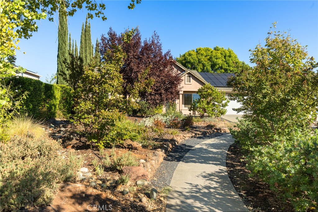 38 Lacewing Court Chico, CA 95973 - Photo 21 of 46 a picture of trees