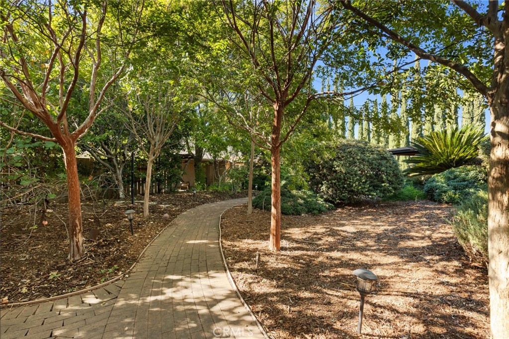38 Lacewing Court Chico, CA 95973 - Photo 33 of 46 a view of a yard with plants and trees