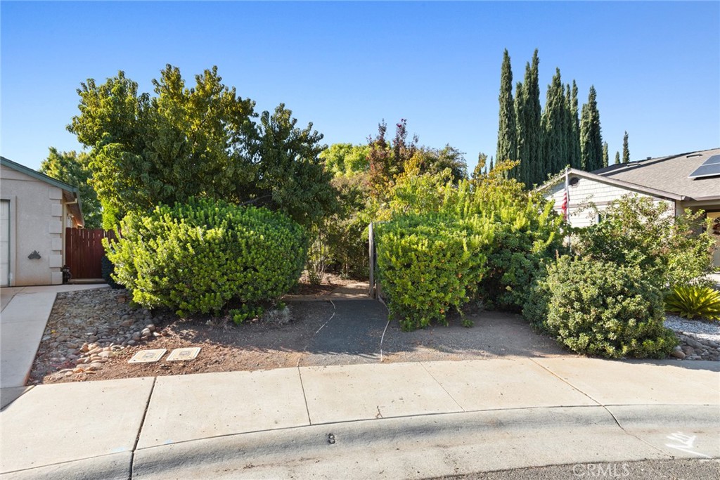 38 Lacewing Court Chico, CA 95973 - Photo 36 of 46 a view of a garden with plants