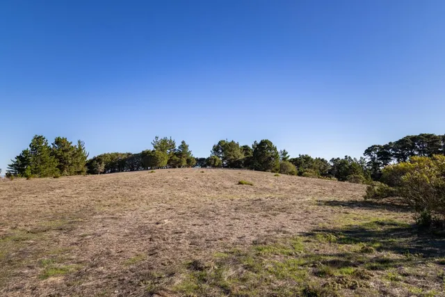 a view of a yard and mountain view