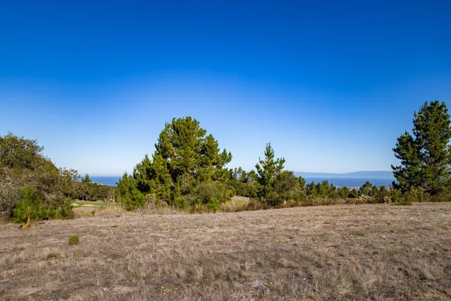 a backyard of a house with a yard and outdoor seating