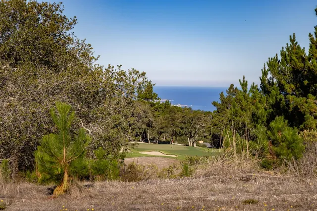 a view of a yard with an trees