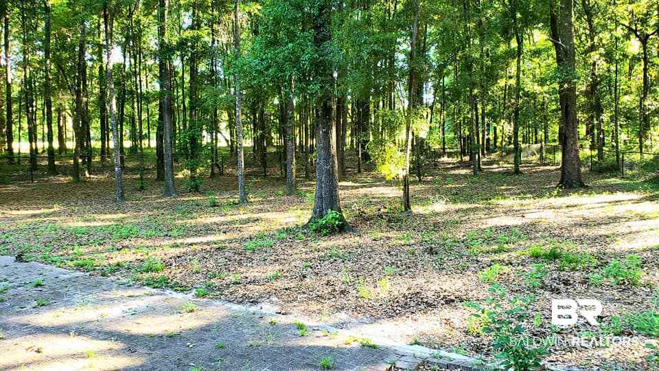 8690 Byrnes Lake Road Bay Minette, AL 36507 - Photo 15 of 20