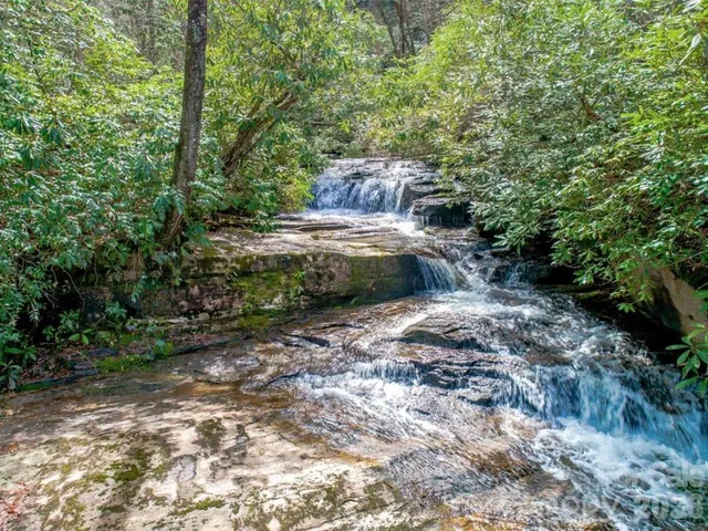 a view of a yard with plants and trees