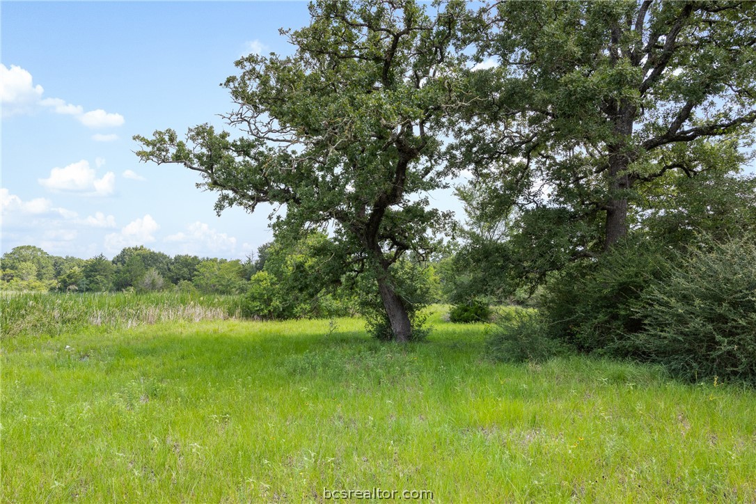 11504 North Dowling Road College Station, TX 77845 - Photo 6 of 22