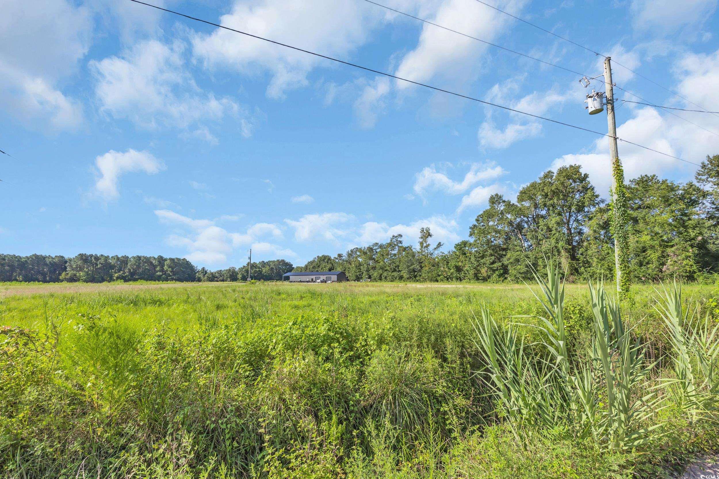 Tbd Willow Grove Drive Loris, SC 29569 - Photo 32 of 34