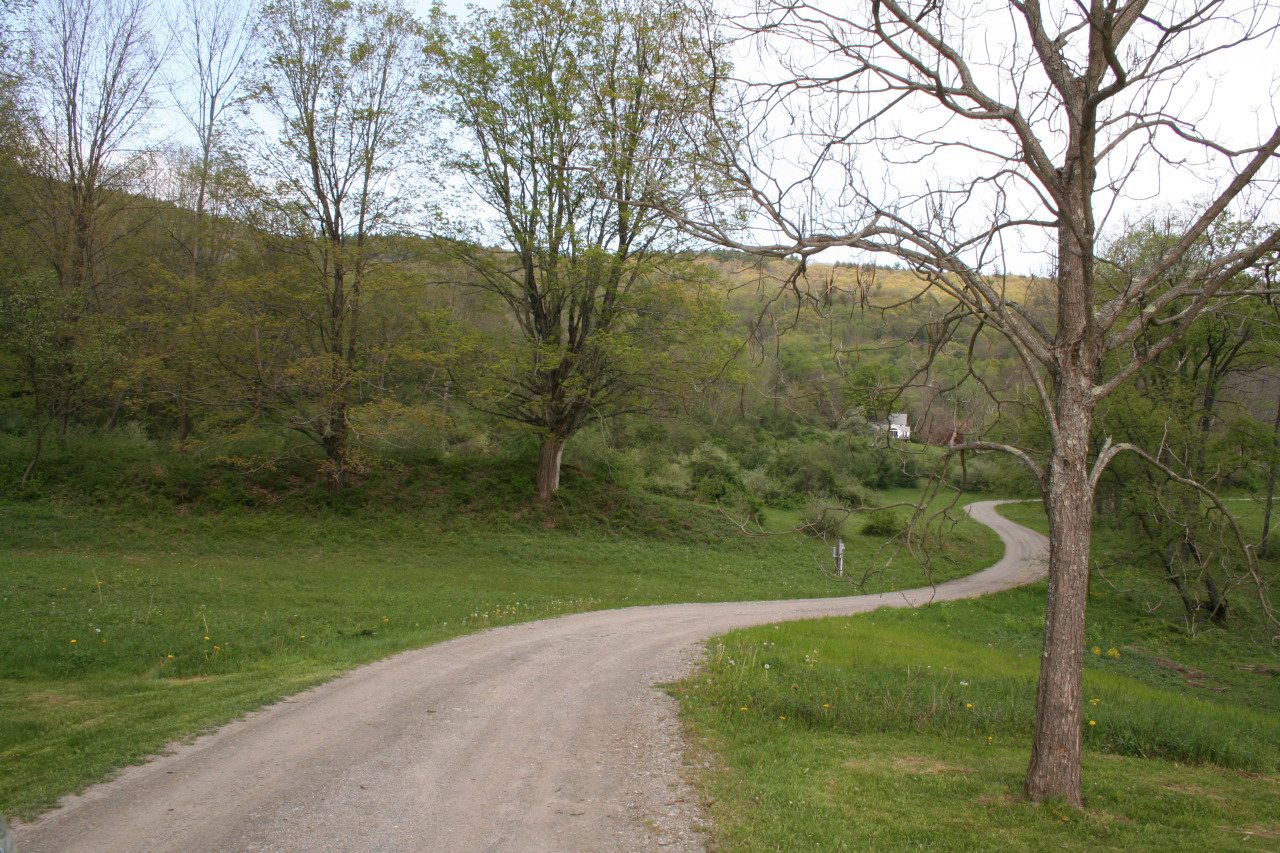 151 E Road Alford, MA 01266 - Photo 2 of 37 a view of a golf course with a yard