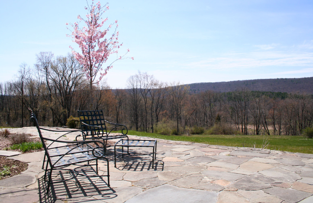151 E Road Alford, MA 01266 - Photo 25 of 37 a view of a chairs and table in the patio