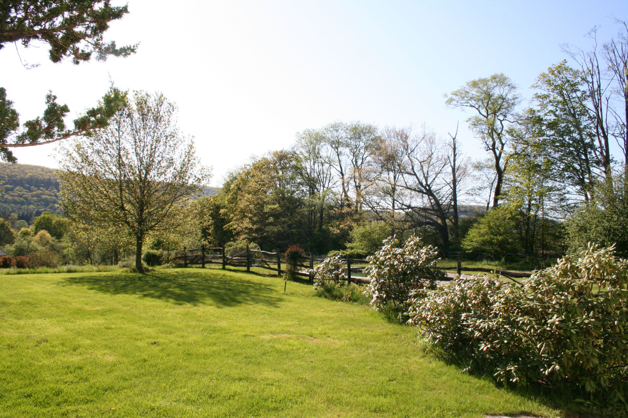151 E Road Alford, MA 01266 - Photo 27 of 37 a backyard of a house with lots of green space
