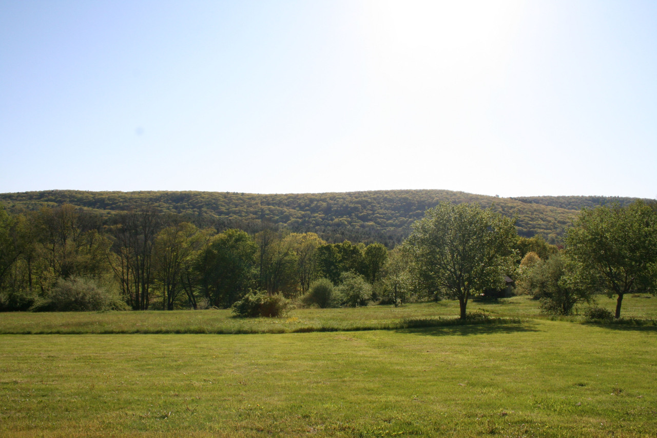 151 E Road Alford, MA 01266 - Photo 33 of 37 a view of a lake with a mountain in the background
