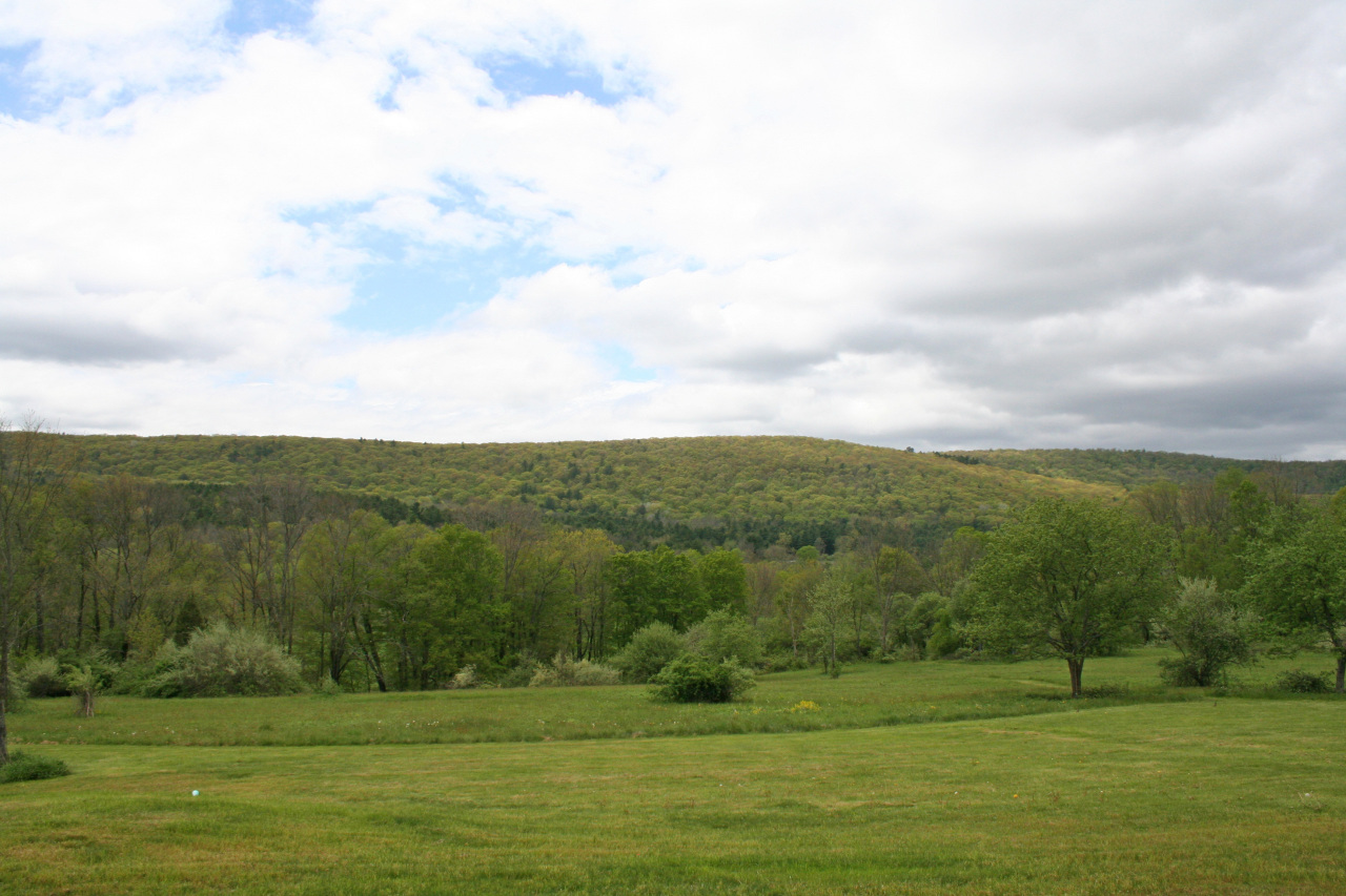 151 E Road Alford, MA 01266 - Photo 5 of 37 a view of a field with an ocean