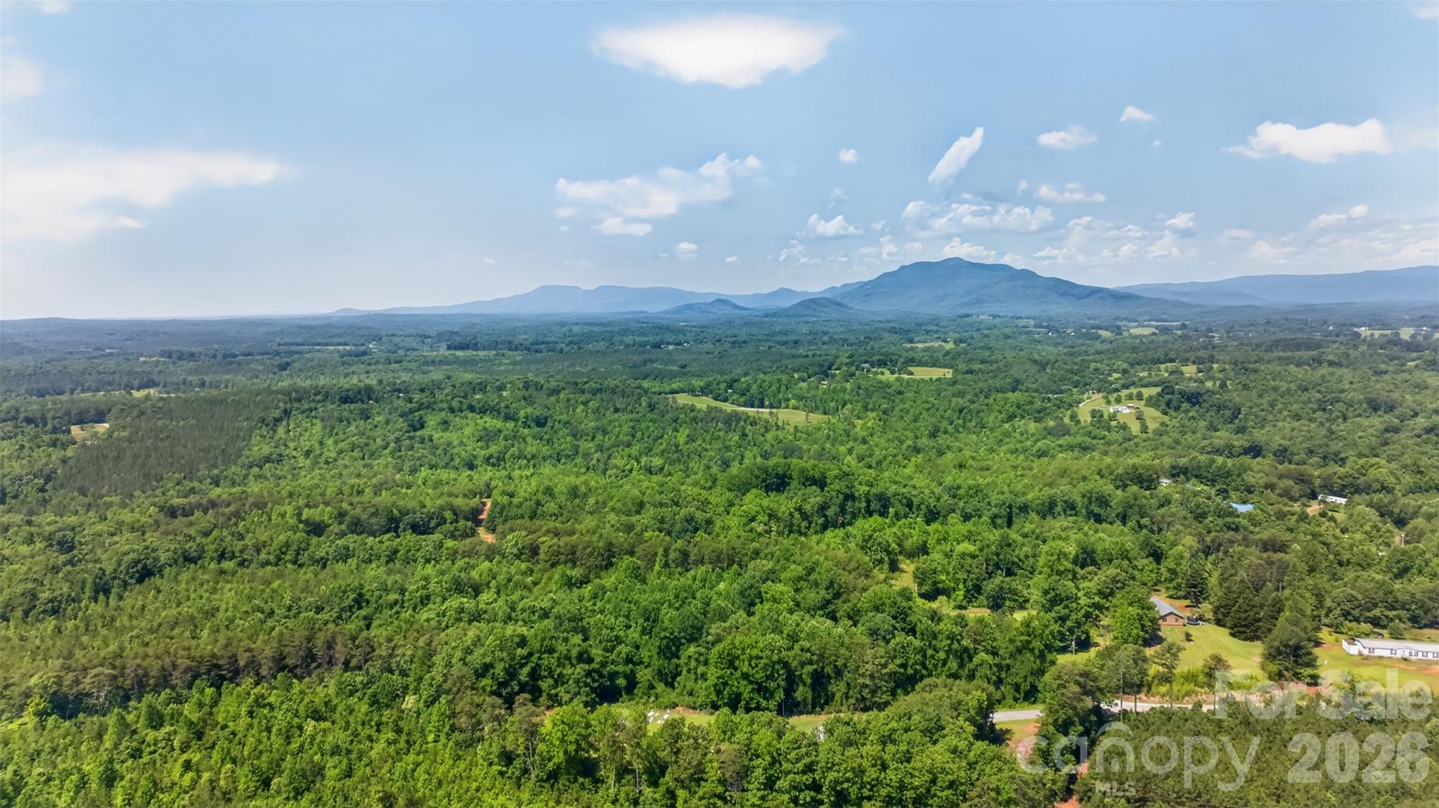 66 Misery Ridge Mill Spring, NC 28756 - Photo 35 of 43