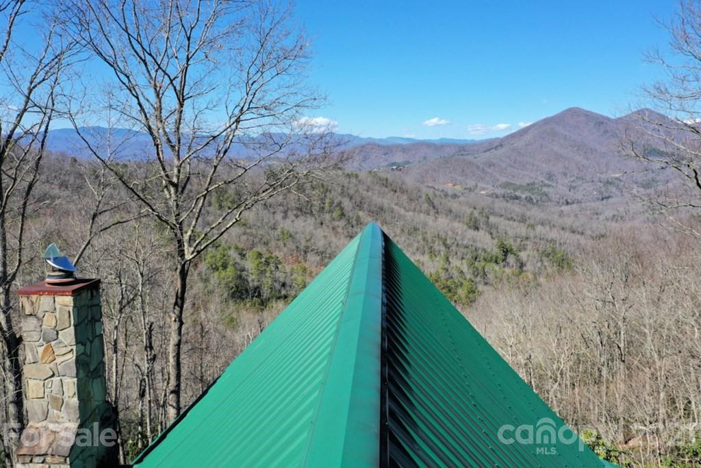 175 Owl Lookout Sylva, NC 28779 - Photo 6 of 20 a view of a lush green forest