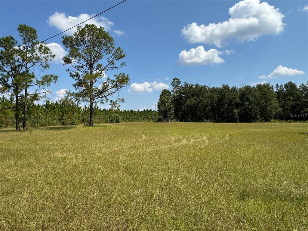 6001 185th Road Live Oak, FL 32060 - Photo 78 of 79