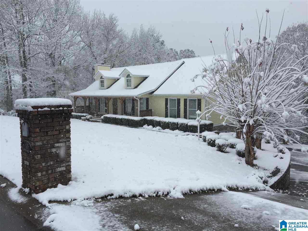 50 Ridgewood Lane Odenville, AL 35120 - Photo 40 of 41