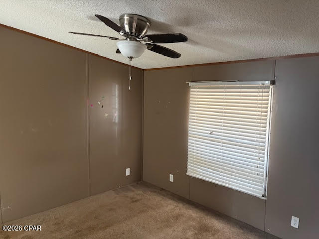 6297 Americus Road Marianna, FL 32446 - Photo 35 of 60 Gallery Image 35