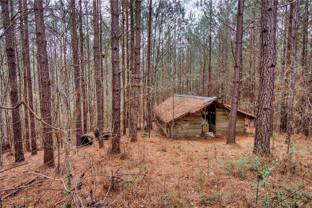 320 Mountain Springs Road West Union, SC 29696 - Photo 47 of 50 Gallery Image 47