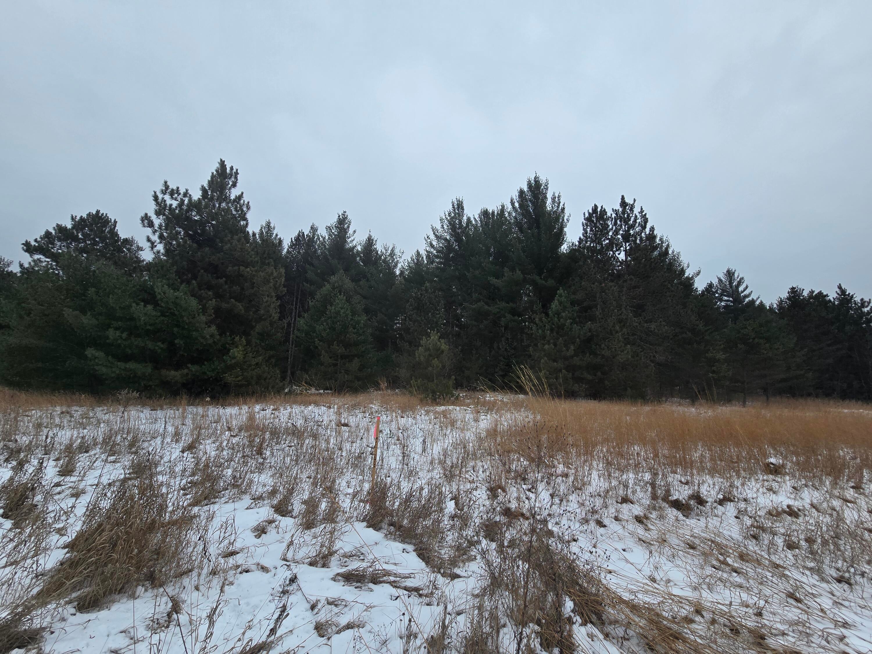 Gorton Road Luzerne, MI 48636 - Photo 6 of 14