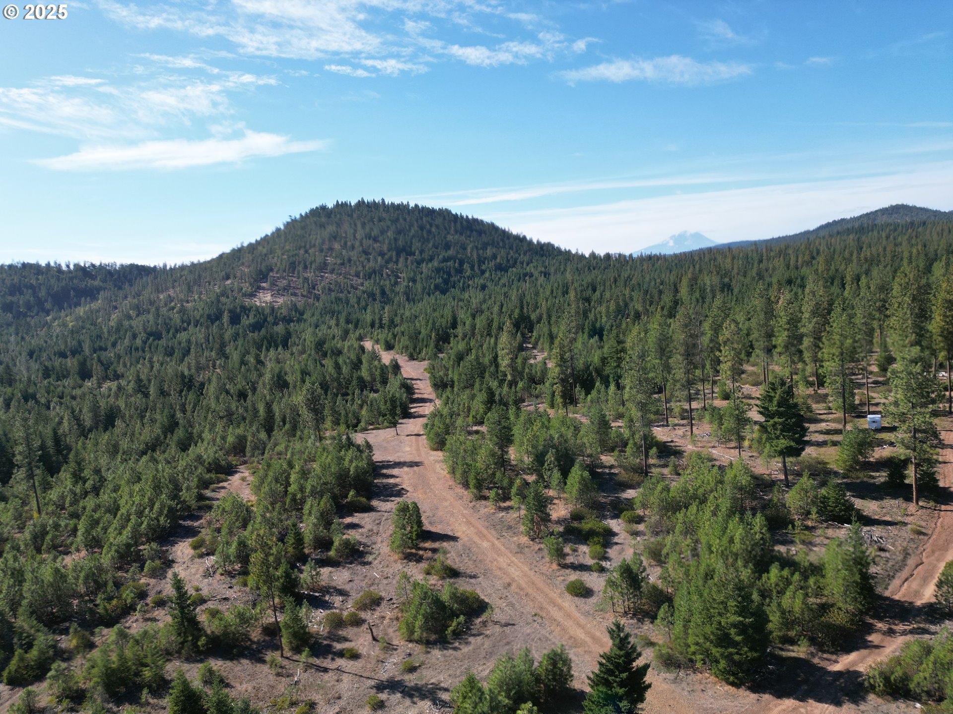 Black Butte Goldendale, WA 98620 - Photo 11 of 38 a view of a city with lush green forest