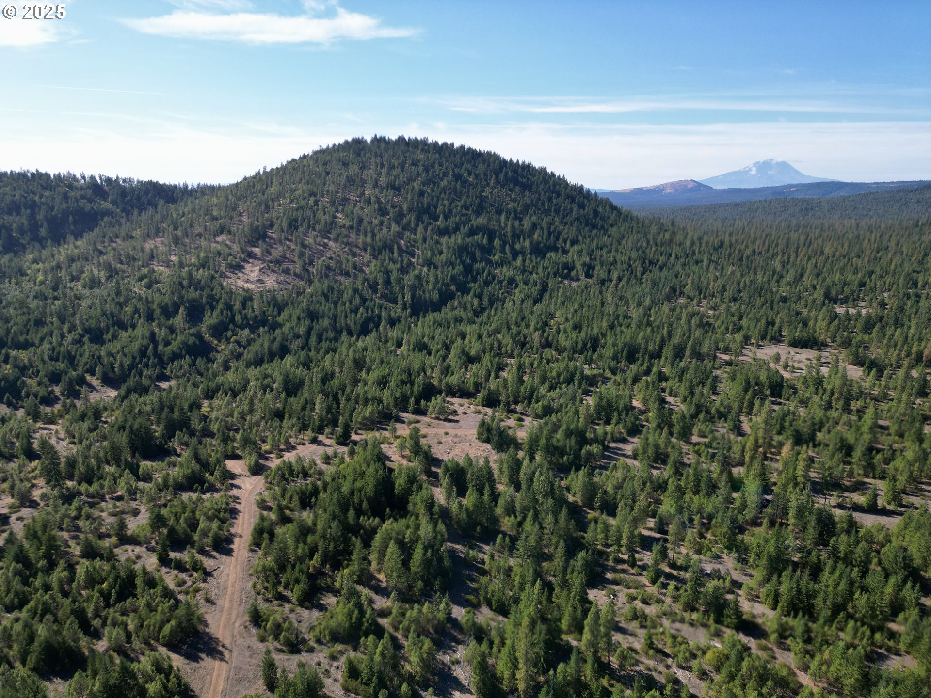 Black Butte Goldendale, WA 98620 - Photo 15 of 38 a view of a mountain range with lush green forest