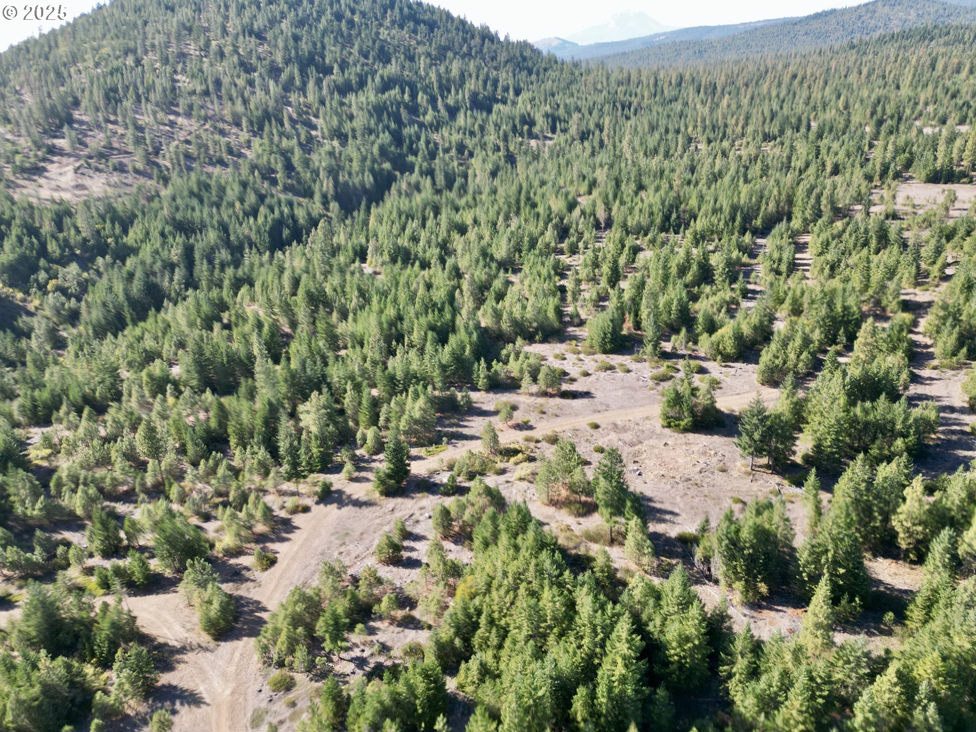 Black Butte Goldendale, WA 98620 - Photo 18 of 38 a view of a yard with a tree