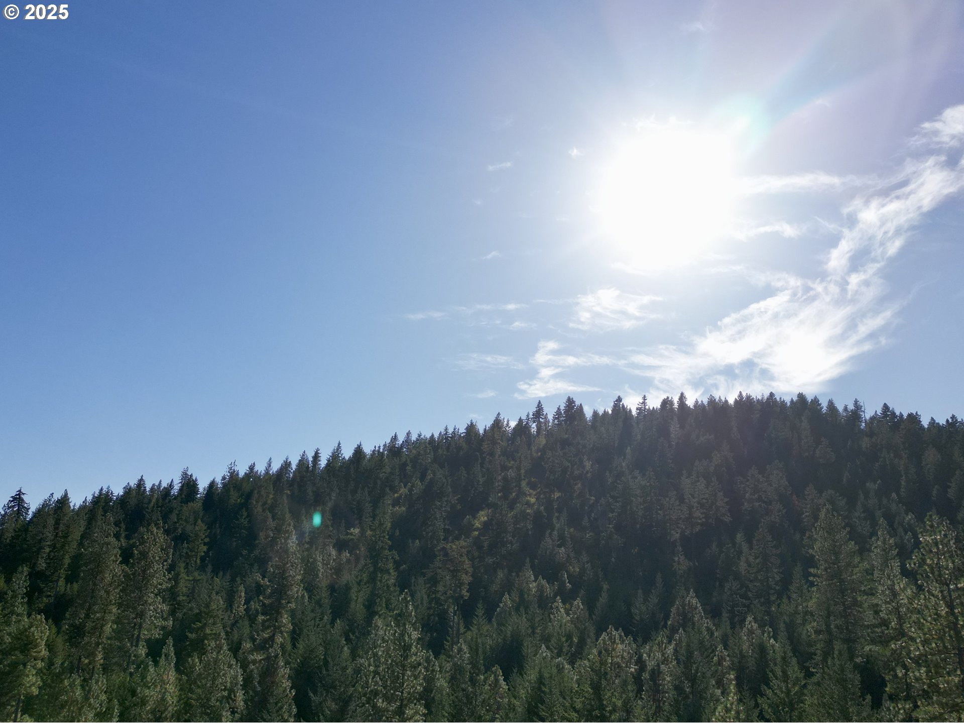 Black Butte Goldendale, WA 98620 - Photo 20 of 38 a view of a city with lush green forest