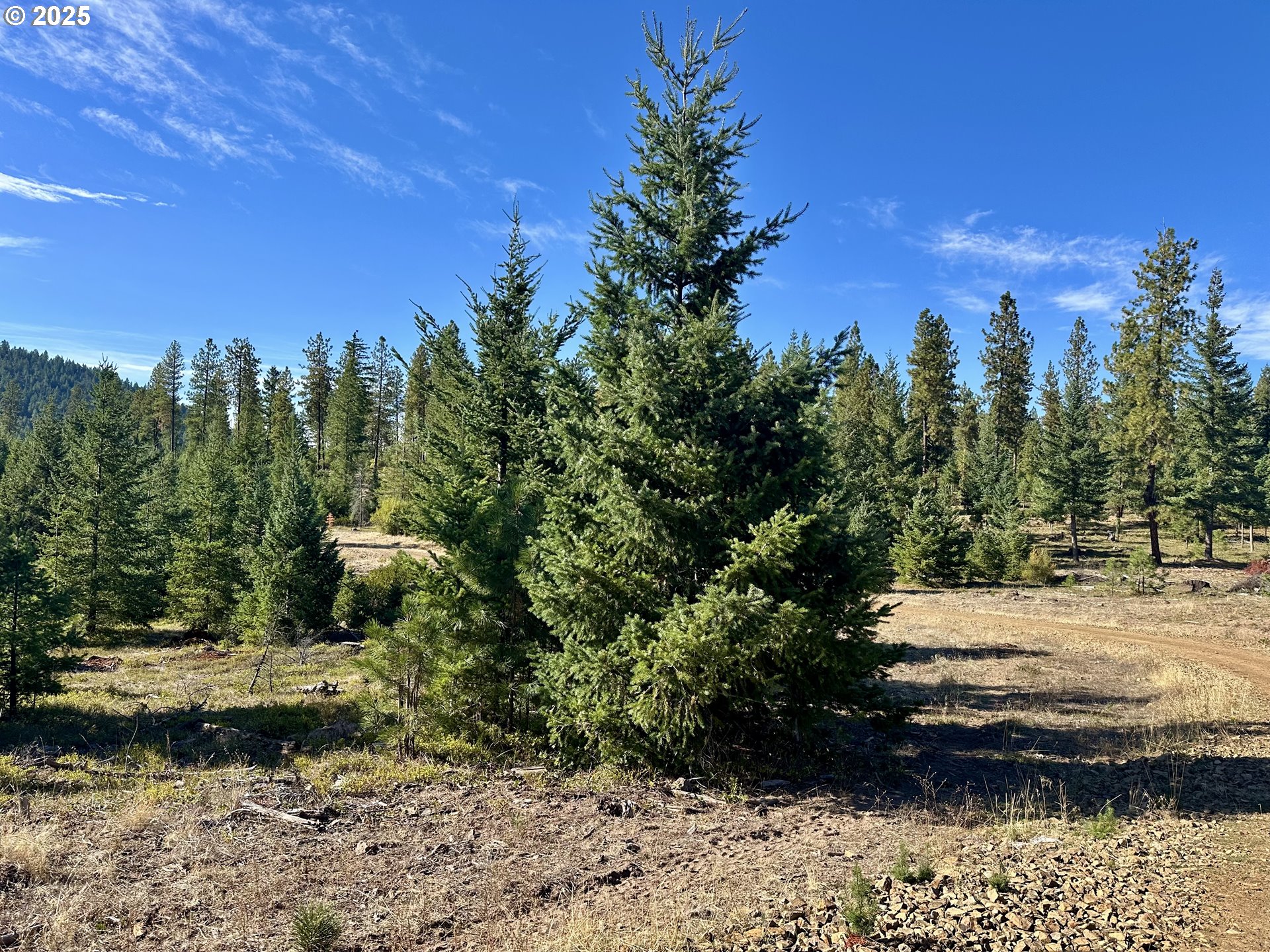 Black Butte Goldendale, WA 98620 - Photo 24 of 38 a view of a yard with a house