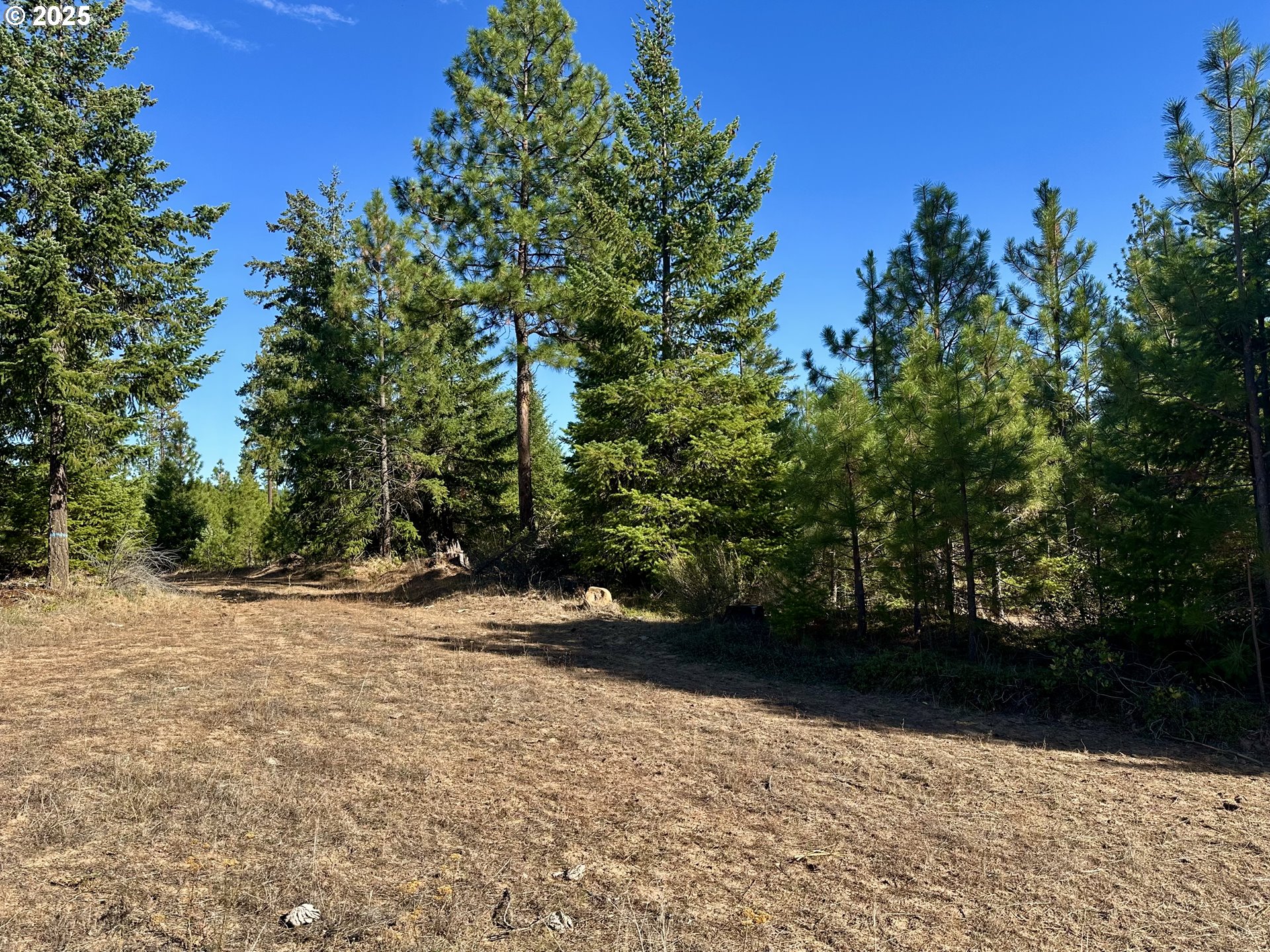 Black Butte Goldendale, WA 98620 - Photo 26 of 38 a view of backyard with green space