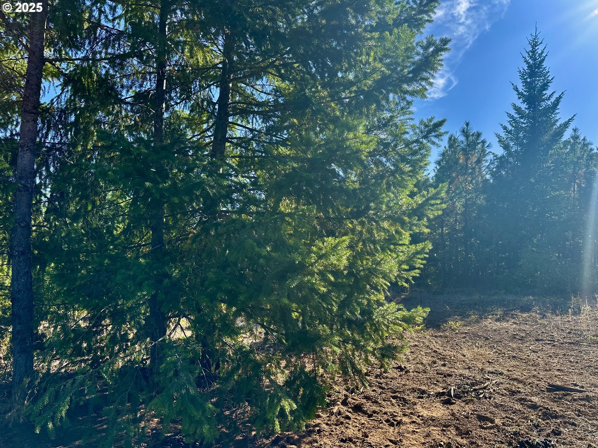 Black Butte Goldendale, WA 98620 - Photo 28 of 38 a backyard of a house with lots of green space