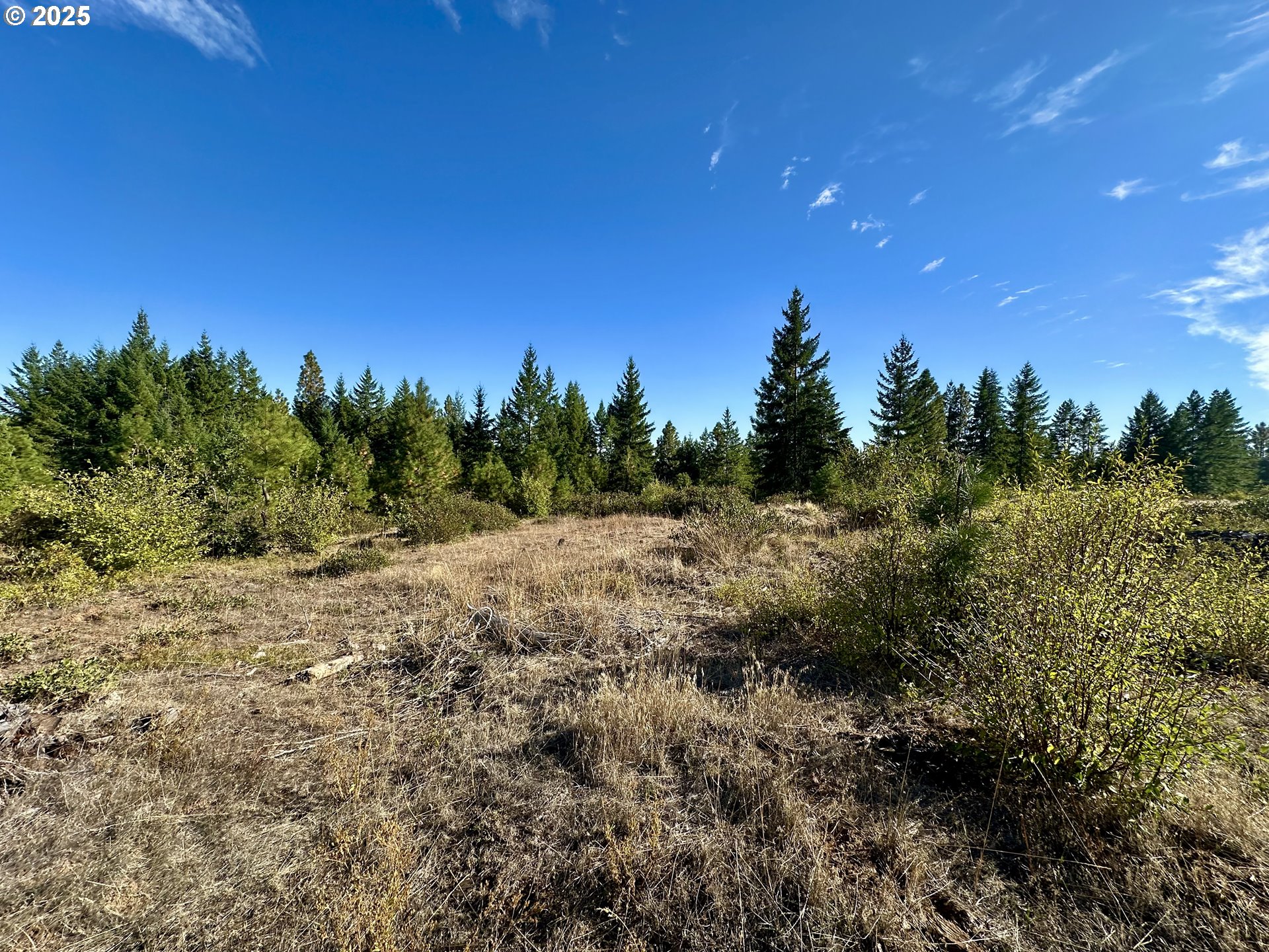 Black Butte Goldendale, WA 98620 - Photo 30 of 38 a view of a yard