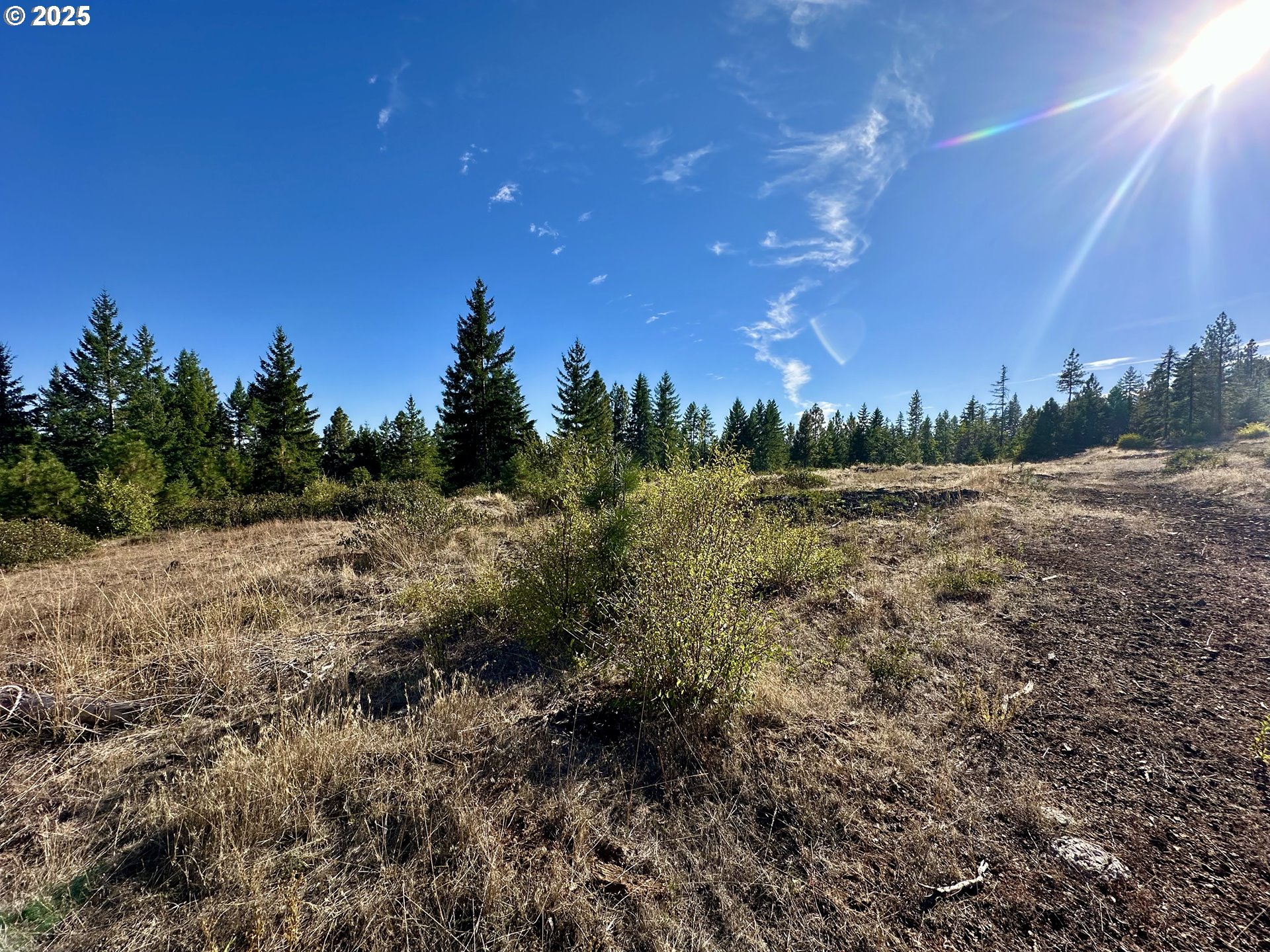 Black Butte Goldendale, WA 98620 - Photo 31 of 38 a view of a yard with a tree