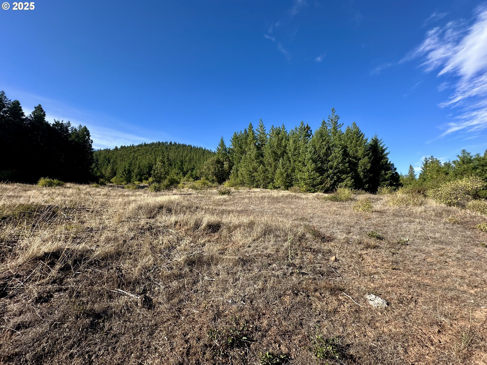 Black Butte Goldendale, WA 98620 - Photo 33 of 38 a view of a field