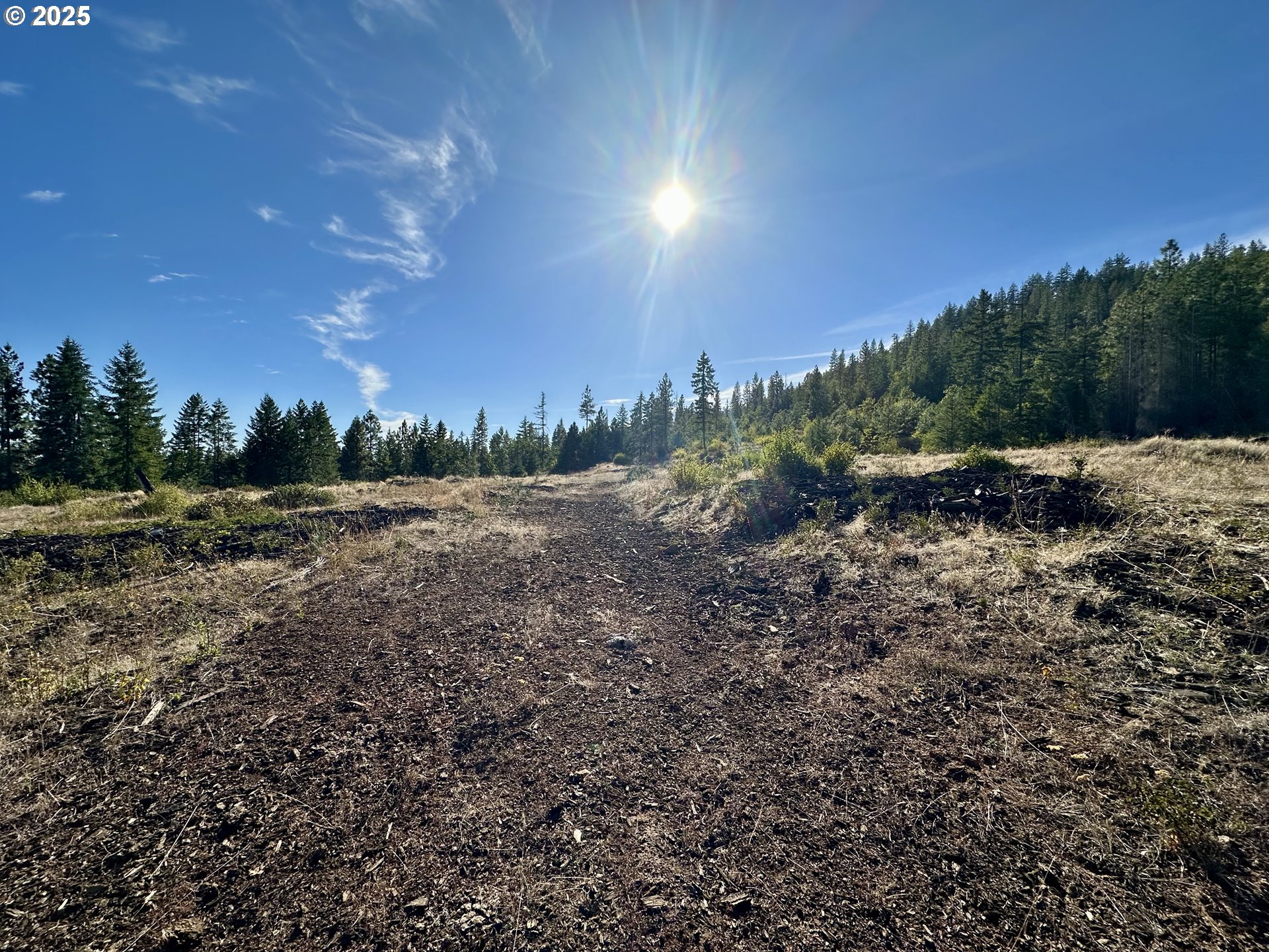 Black Butte Goldendale, WA 98620 - Photo 34 of 38 a view of a field with trees in background