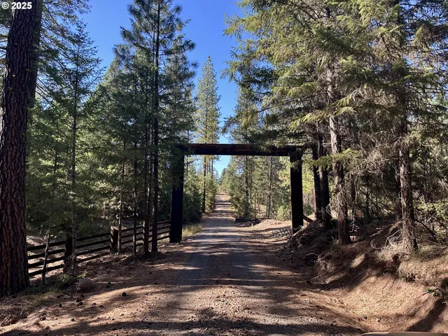 a view of outdoor space with deck and tree