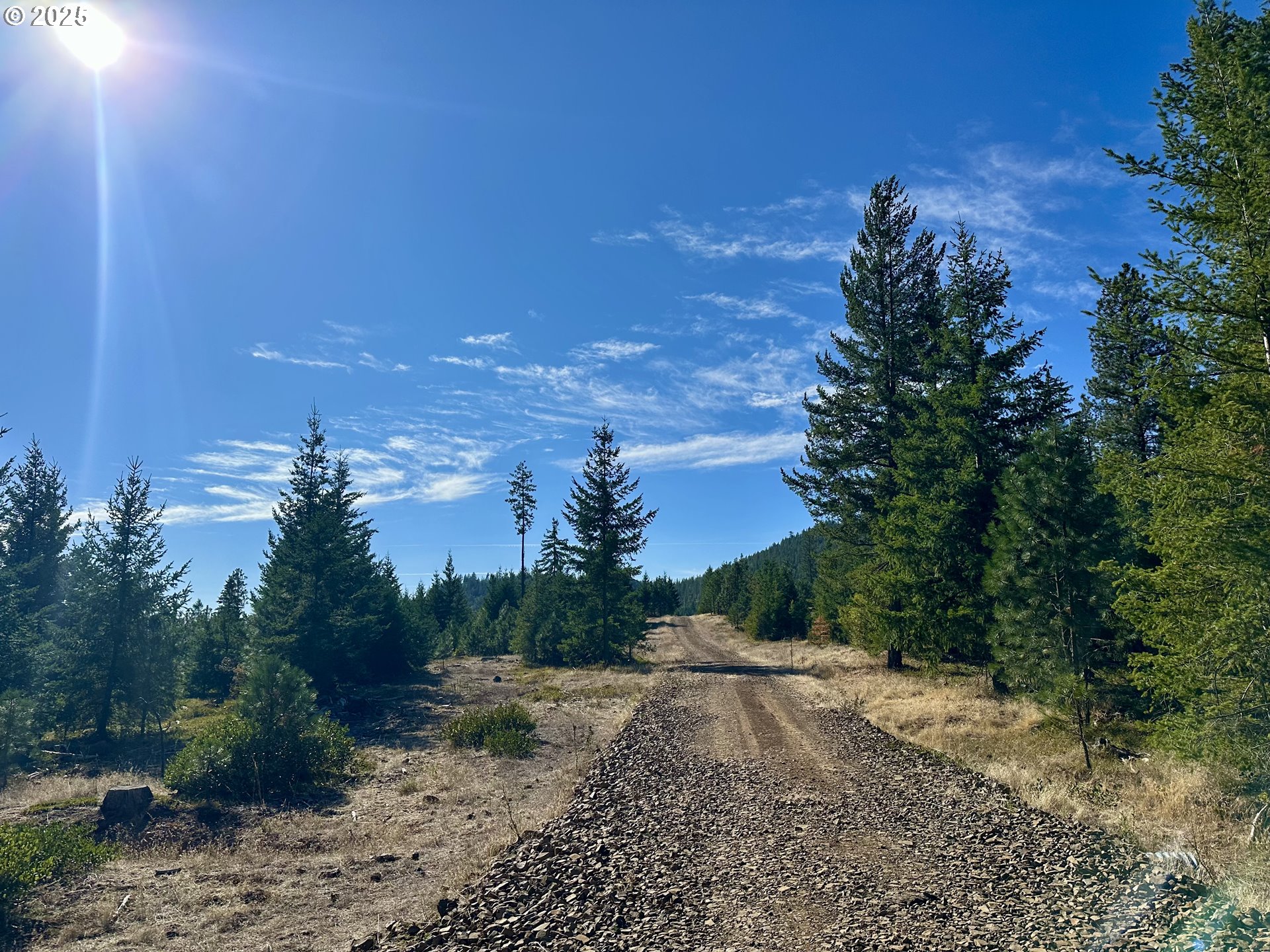 Black Butte Goldendale, WA 98620 - Photo 5 of 38 a view of a yard with a tree