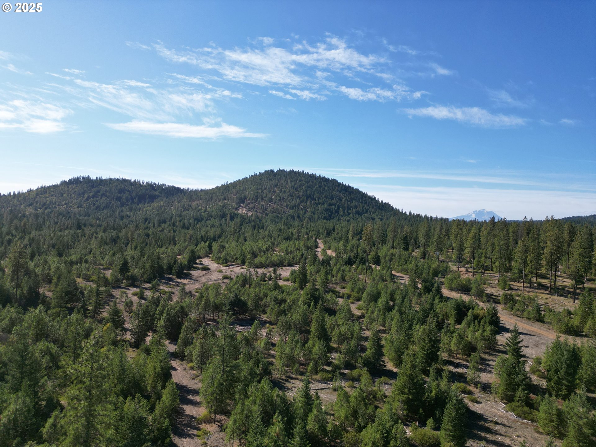 Black Butte Goldendale, WA 98620 - Photo 8 of 38 a view of a mountain in the distance in a field