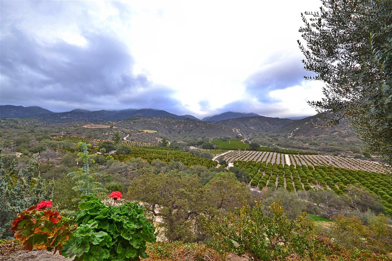 36880 Magee Road Pala, CA 92059 - Photo 25 of 25 VIEW FROM THE RIGHT SIDE OF THE HOUSE.