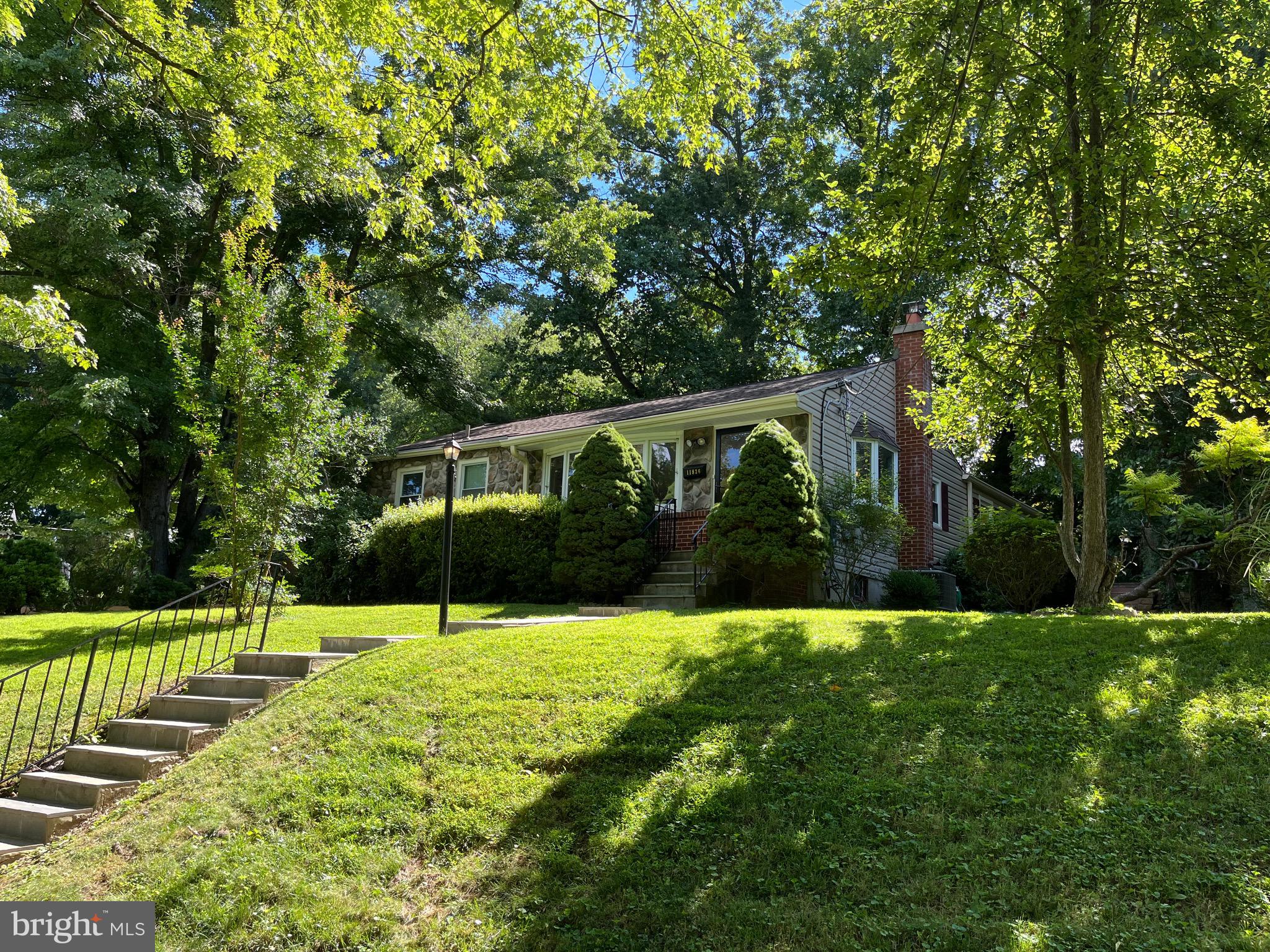 11836 Huggins Drive Silver Spring, MD 20902 - Photo 16 of 52 Beautiful & Private Lot