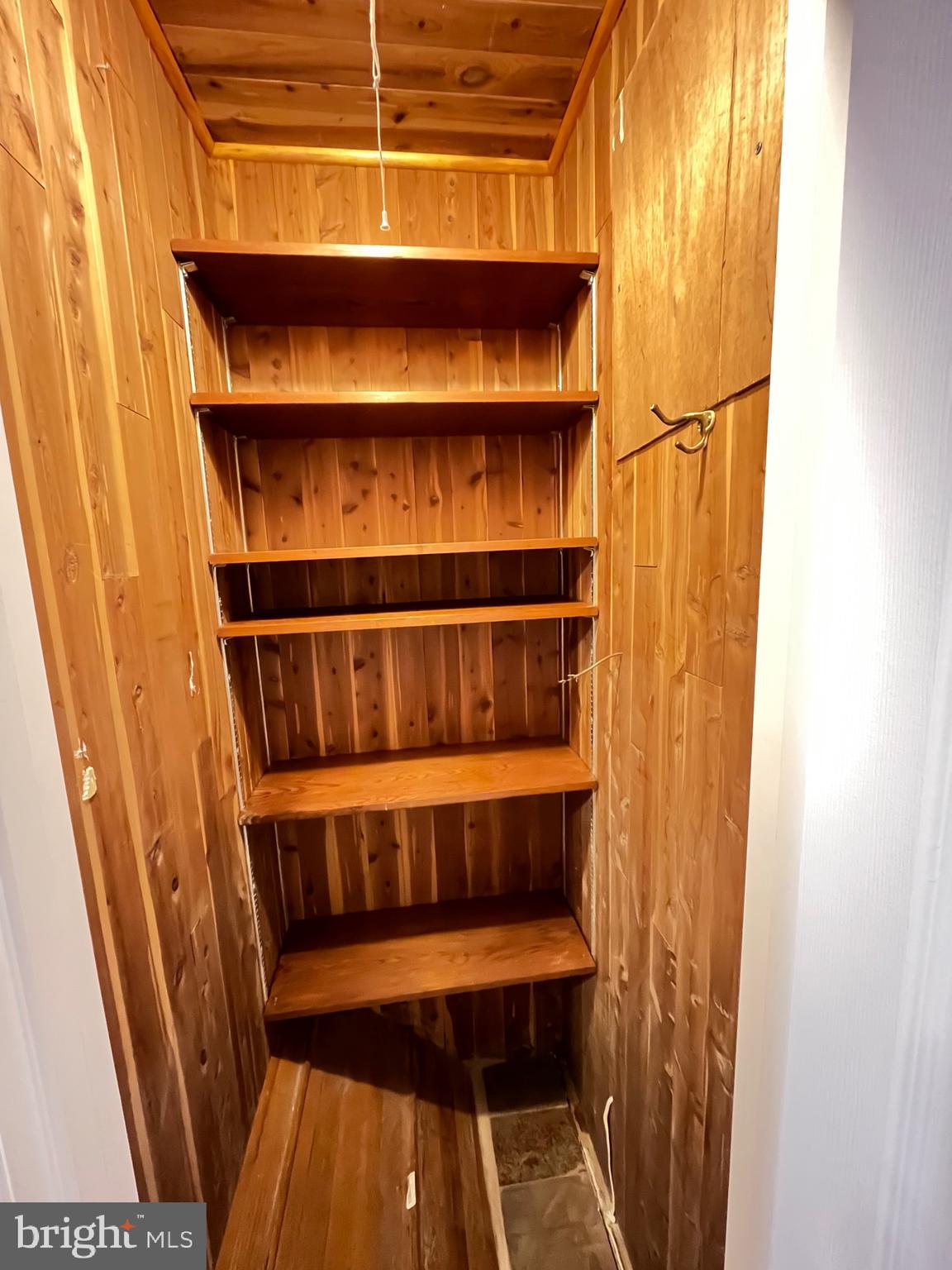 11836 Huggins Drive Silver Spring, MD 20902 - Photo 48 of 52 Cedar Closet