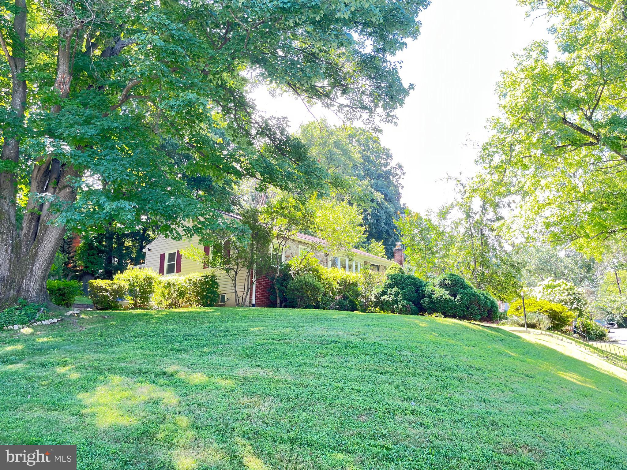 11836 Huggins Drive Silver Spring, MD 20902 - Photo 6 of 52 Oversized Lot