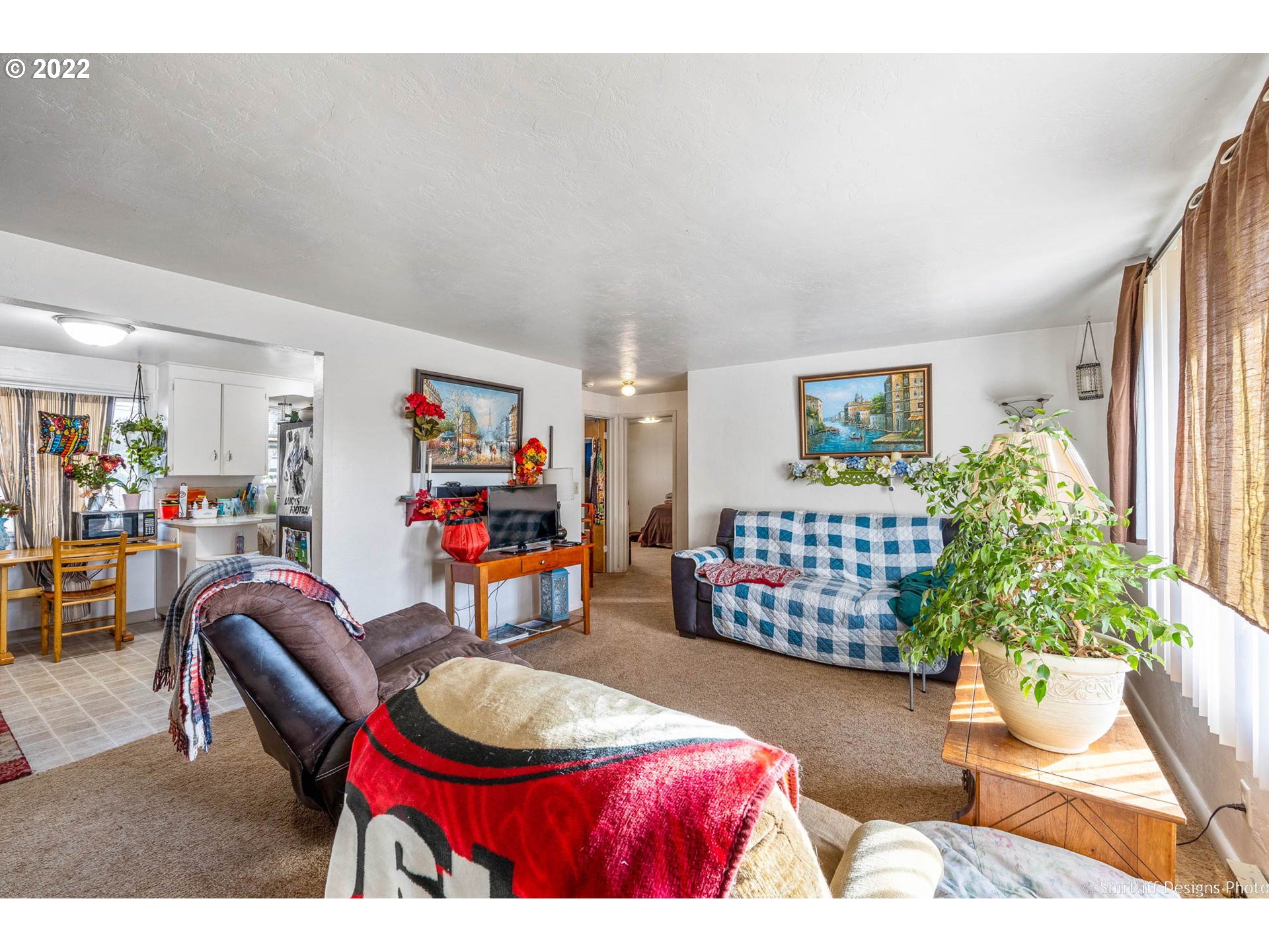 3878 South E Street Springfield, OR 97478 - Photo 3 of 24 a living room with furniture and a potted plant