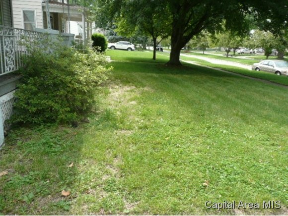 516 West Canedy Street Springfield, IL 62704 - Photo 12 of 13 Gallery Image 12
