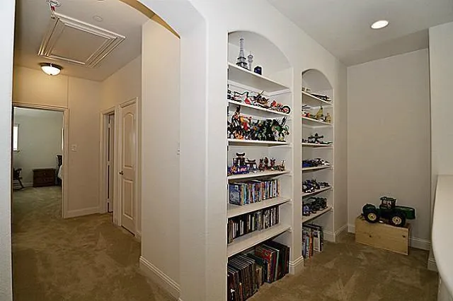 a room with furniture a rug and a book shelf