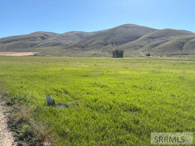 0 Tbd Salmon, ID 83467 - Photo 2 of 11