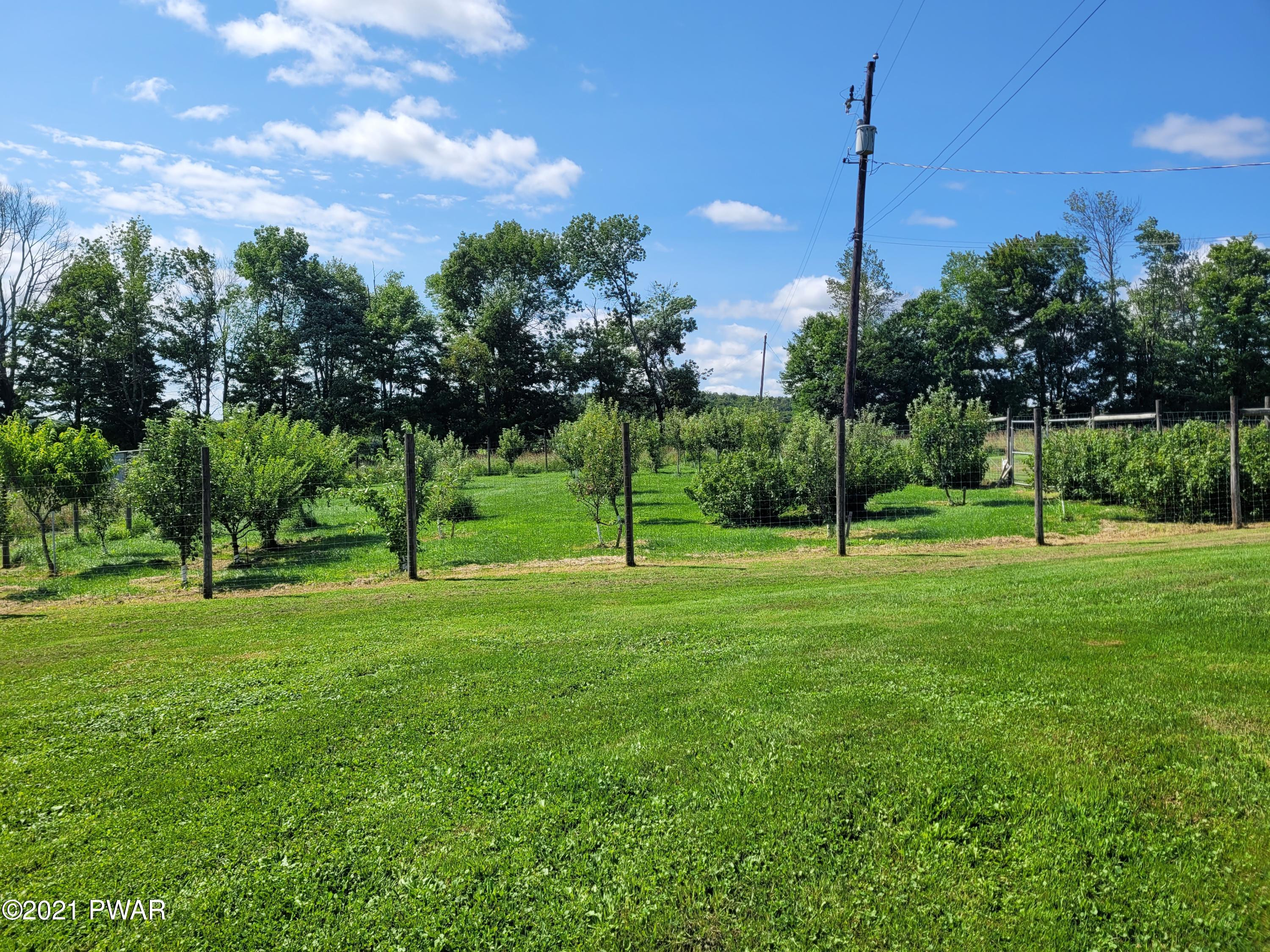 Canaan Township Road Waymart, PA 18472 - Photo 51 of 55 Orchard 1