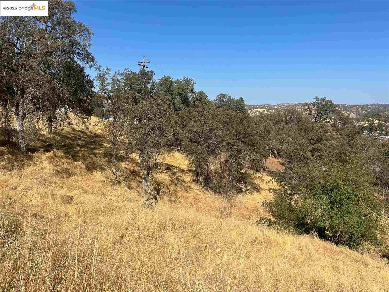 4775 Pueblo Trail Copperopolis, CA 95228 - Photo 5 of 6 a view of a covered with trees in the background
