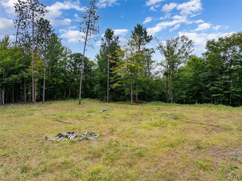 0 Piseco Road Stratford, NY 13470 - Photo 4 of 15 Gallery Image 4