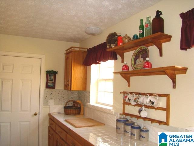 559 Holland-Finley Road Jacksonville, AL 36265 - Photo 13 of 37