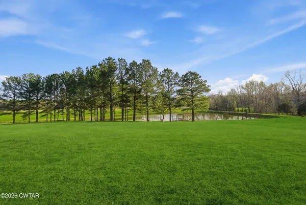a view of park with trees