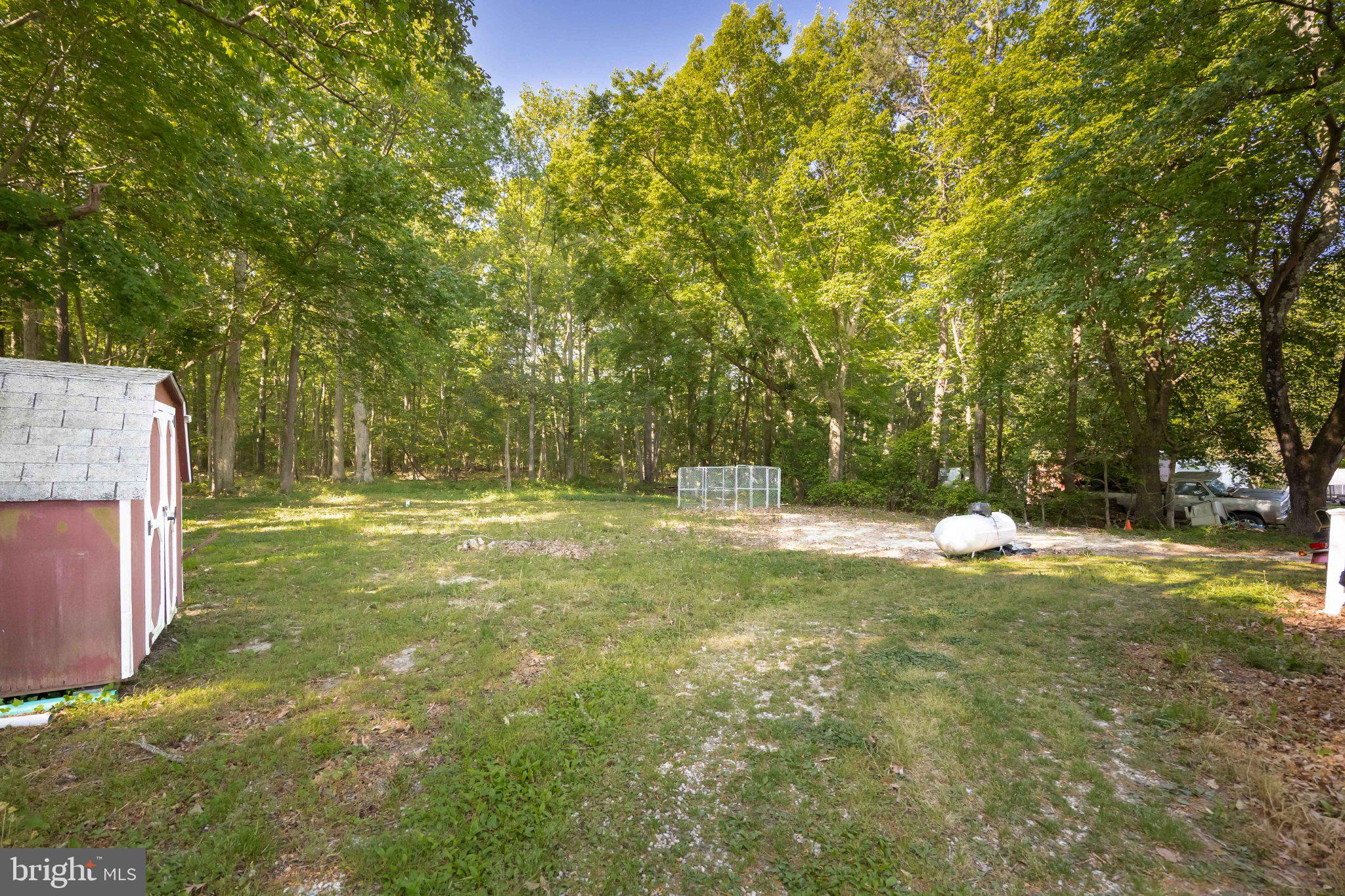 31161 Eden Allen Road Eden, MD 21822 - Photo 28 of 28 Serene wooded lot with open space.